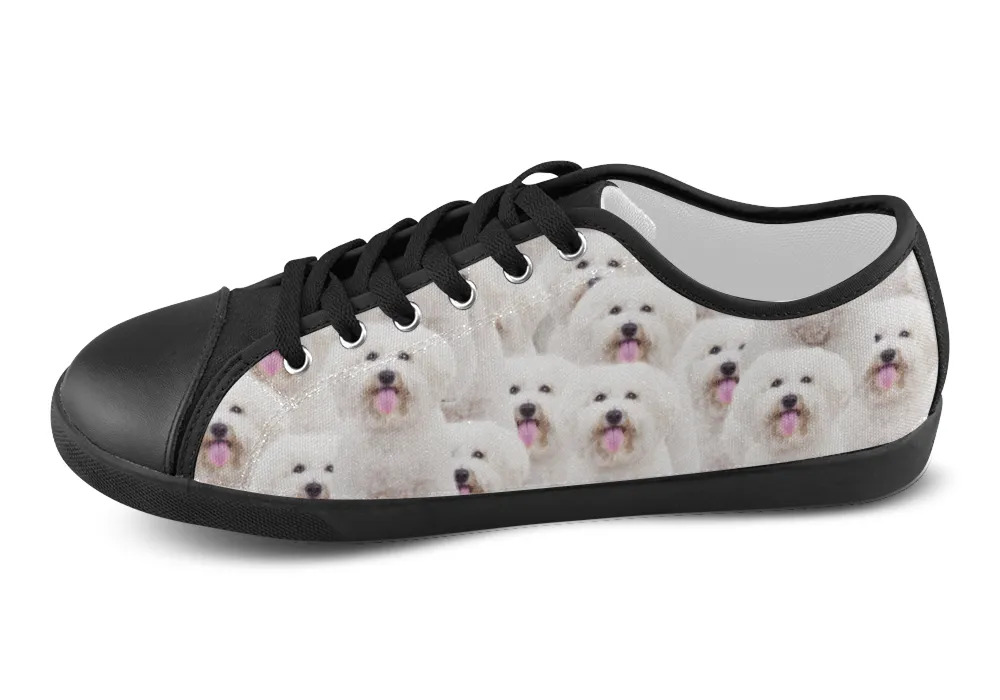 Bichon Frise Shoes